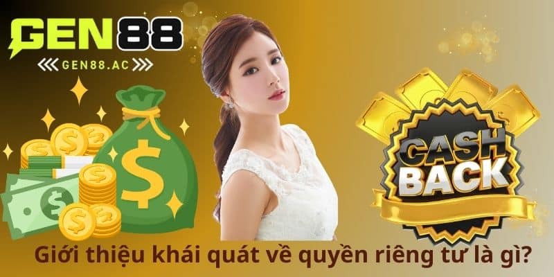 Giới thiệu khái quát về quyền riêng tư là gì?